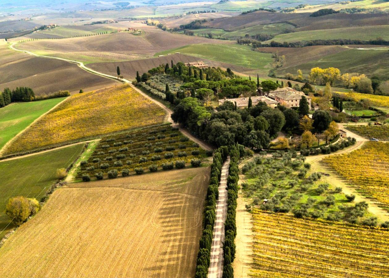 Villa Buonsignori - Wine & Olive Oil Farm Corsano  Екстериор снимка