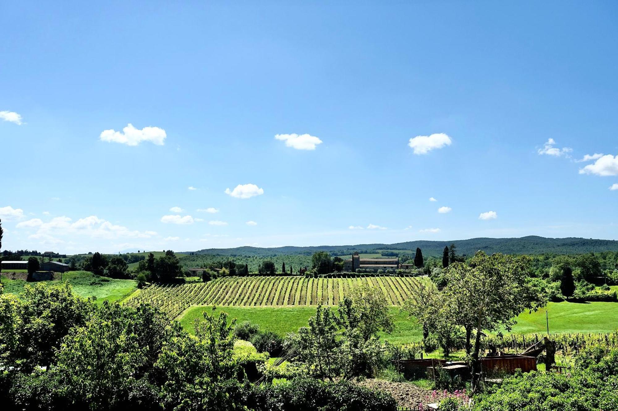 Villa Buonsignori - Wine & Olive Oil Farm Corsano  Екстериор снимка